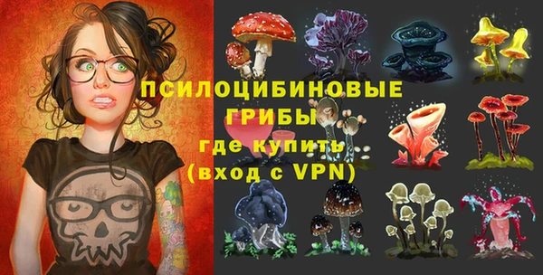 стафф Нефтекумск