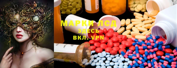 стафф Нефтекумск