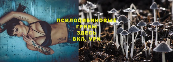 стафф Нефтекумск